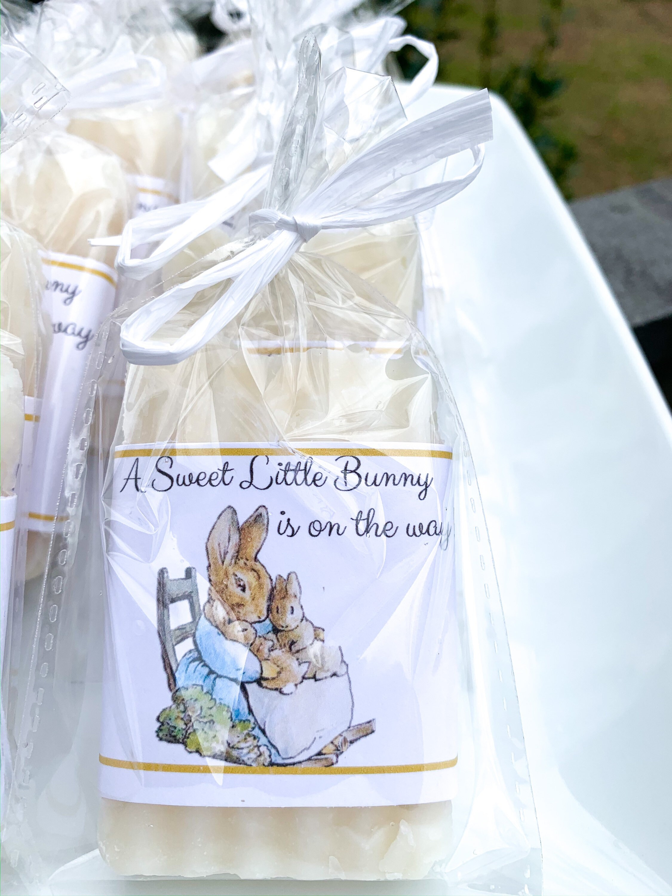 peter rabbit baby shower favors