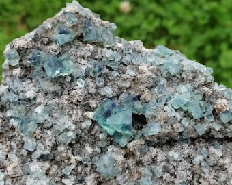 Rogerley fluorite crystal cluster Diana Maria mine, blue green color changing cube crystals UK raw mineral specimen, England collector stone