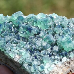 raw Rogerley fluorite crystal cluster Diana Maria mine blue green color changing cube crystal rare mineral specimen England collector stone image 5