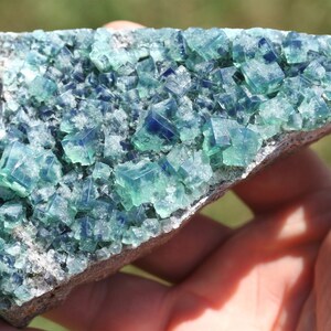 raw Rogerley fluorite crystal cluster Diana Maria mine blue green color changing cube crystal rare mineral specimen England collector stone image 2