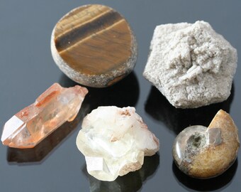 rock collection set: tigereye, aragonite, ammonite fossil, tangerine quartz, apophyllite; natural stones, gift under 40, starter mineral set