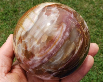 large petrified wood sphere 3.5" fossil stone ball w/ stand, office decor, nature gift, 2.25 lb display stone, fossil wood mineral specimen