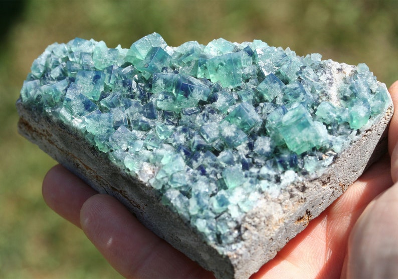 raw Rogerley fluorite crystal cluster Diana Maria mine blue green color changing cube crystal rare mineral specimen England collector stone image 5