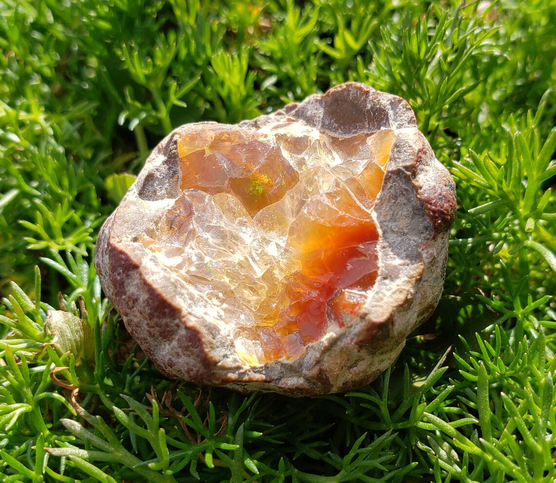 Fire opal nodule raw opal specimen natural fire opal rare | Etsy