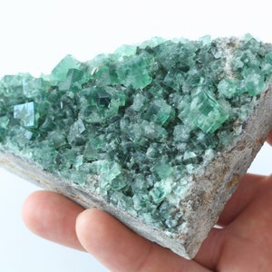 raw Rogerley fluorite crystal cluster Diana Maria mine blue green color changing cube crystal rare mineral specimen England collector stone image 9