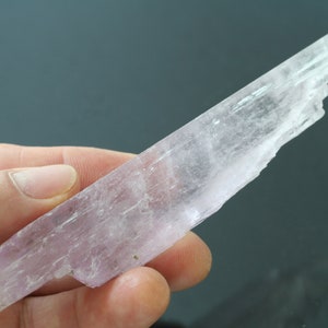 May include: A large, translucent, pale pink selenite crystal with a striated surface. The crystal is about 10 inches long and has a slightly curved shape.