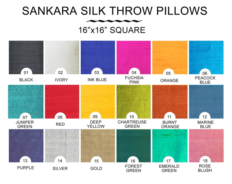 Sankara Silk 16x16 Throw Pillow Choose your Insert image 1