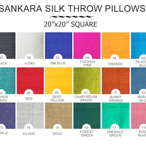 Sankara Silk 20x20 Throw Pillow (Choose your insert)