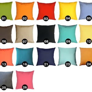 Sunbrella Outdoor 19x19 Pillows (Choose your insert)