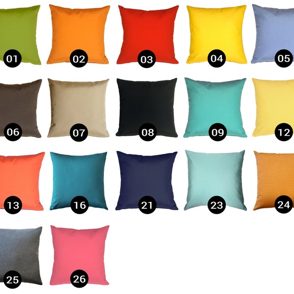 Sunbrella Outdoor 20x20 Pillows (Choose your insert)