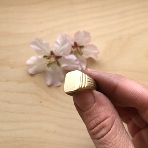May include: A gold signet ring with a smooth, square top and a textured band.