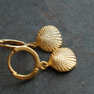 By the sea . gold plated earrings with shells . mother's day jewelry .  gifts for her