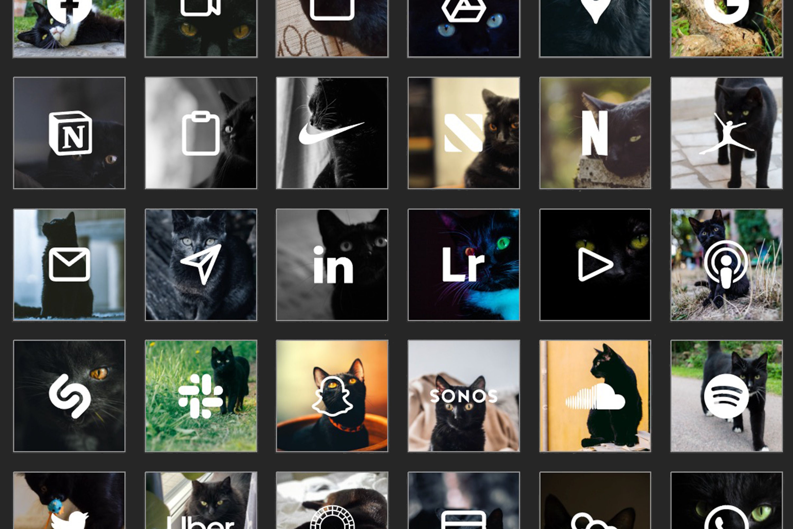 Cute Cats Black Edition iPhone Icons Bundle