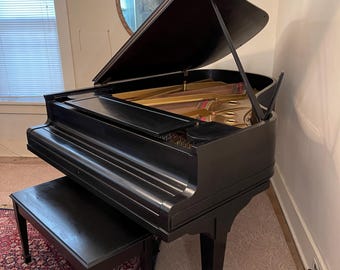 May include: A black grand piano with the lid open, revealing the inner workings of the instrument. The piano is sitting on a light pink carpet with a dark red rug in the foreground. A black piano bench is in front of the piano.