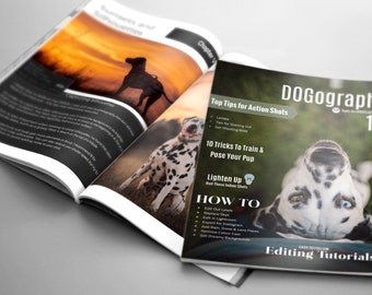 Dogography 101 - Ebook For Dog photography & Editing