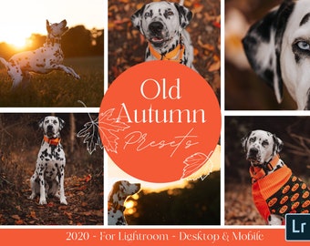 Old Autumn - The 2020 Collection