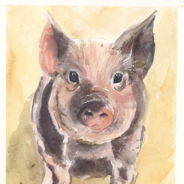 Pig Watercolor - Etsy