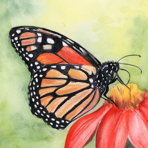 Original Monarch Butterfly on Echinacea, Original Watercolor Painting (Not a Print)