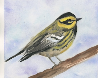 Magnolia Warbler, Yellow and Black Bird, Warbler Watercolor, Song bird art, Original Watercolor Painting 8"x10" (Not a Print)