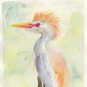 Original Cattle Egret Original Watercolor Painting 8&quot;x10&quot; (Not a Print)