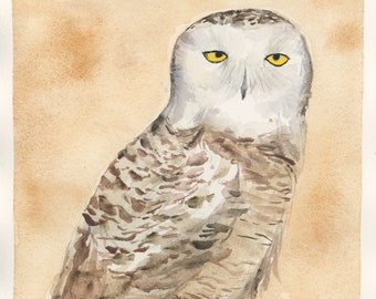 Female Snowy Owl Watercolor, Original Watercolor Painting 8"x10" (NOT A PRINT)