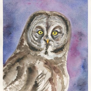 Original Great Gray Owl Watercolor, Original Watercolor Painting 8&quot;x10&quot; (NOT A PRINT)