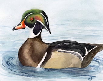 Wood Duck, Colorful Duck, Woodland, Duck Painting, Original Watercolor Painting 8"x10" (Not a Print)