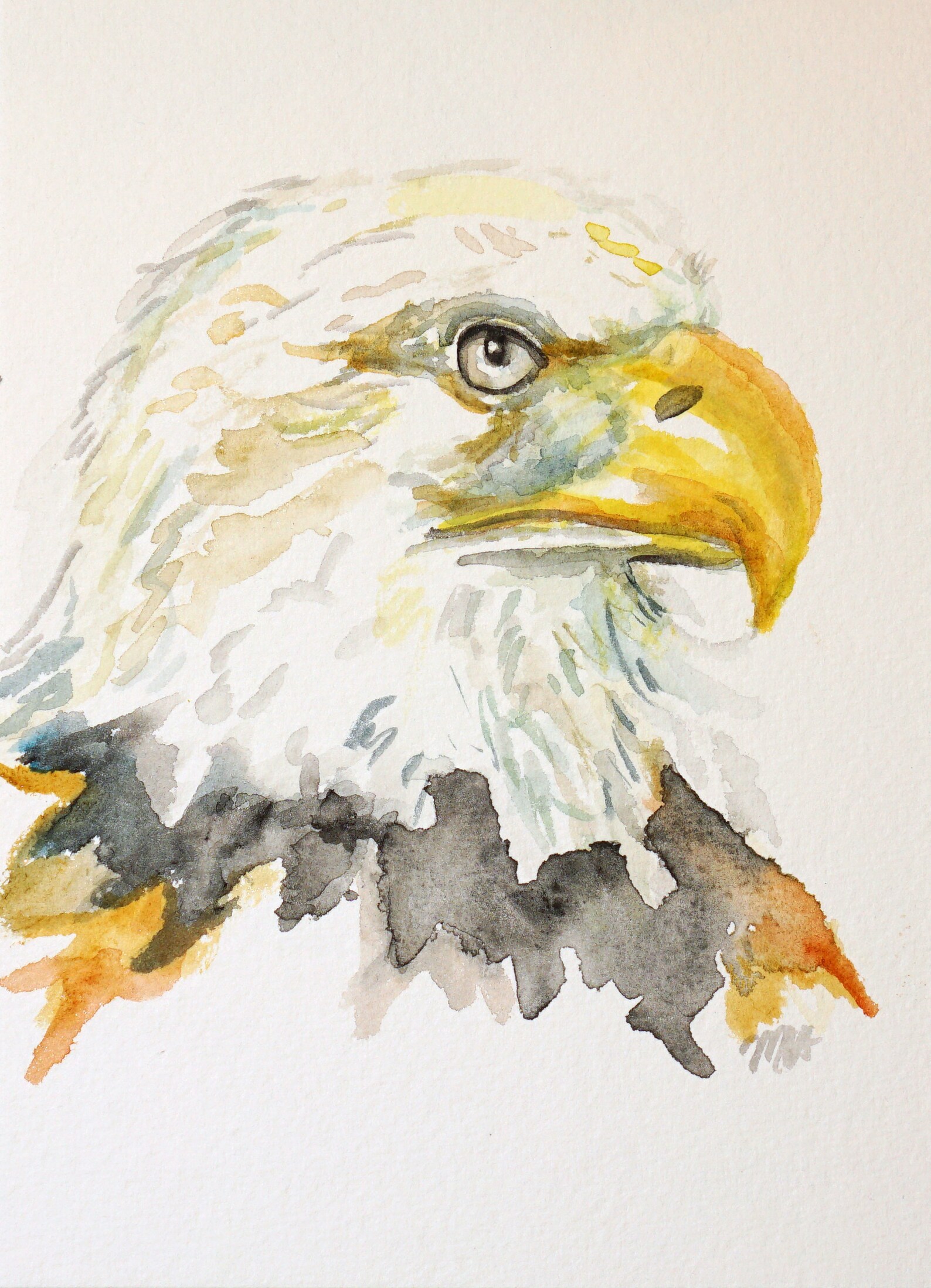 Bald Eagle Original Watercolor Painting 5x7 | Etsy