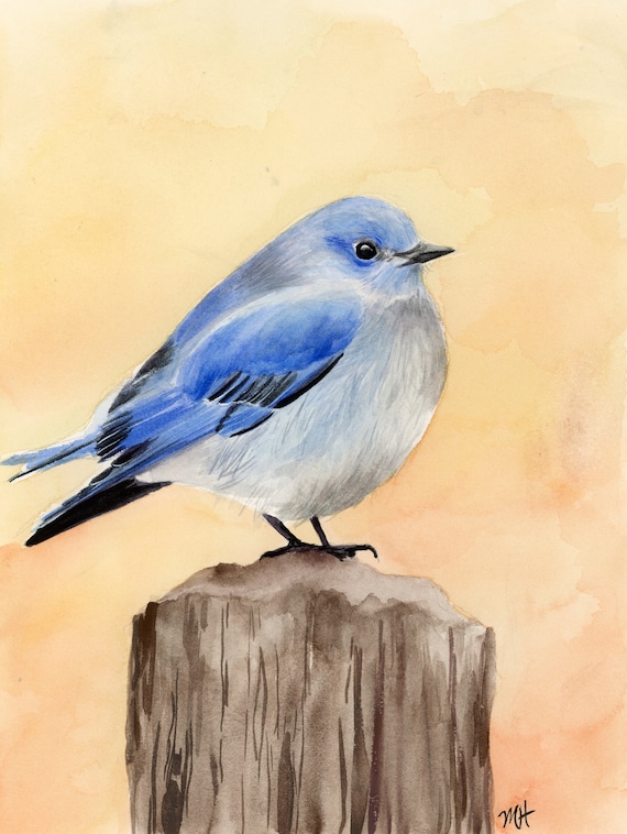 オリジナルマウンテンブルーバード水彩画、8x10 - Etsy 日本