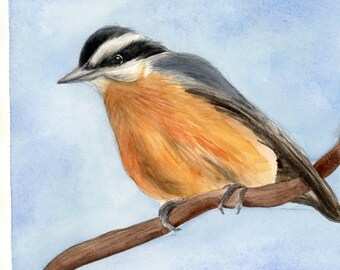 Originele boomklever met rode borst, origineel aquarelschilderij 8 x 10 inch (geen afdruk)