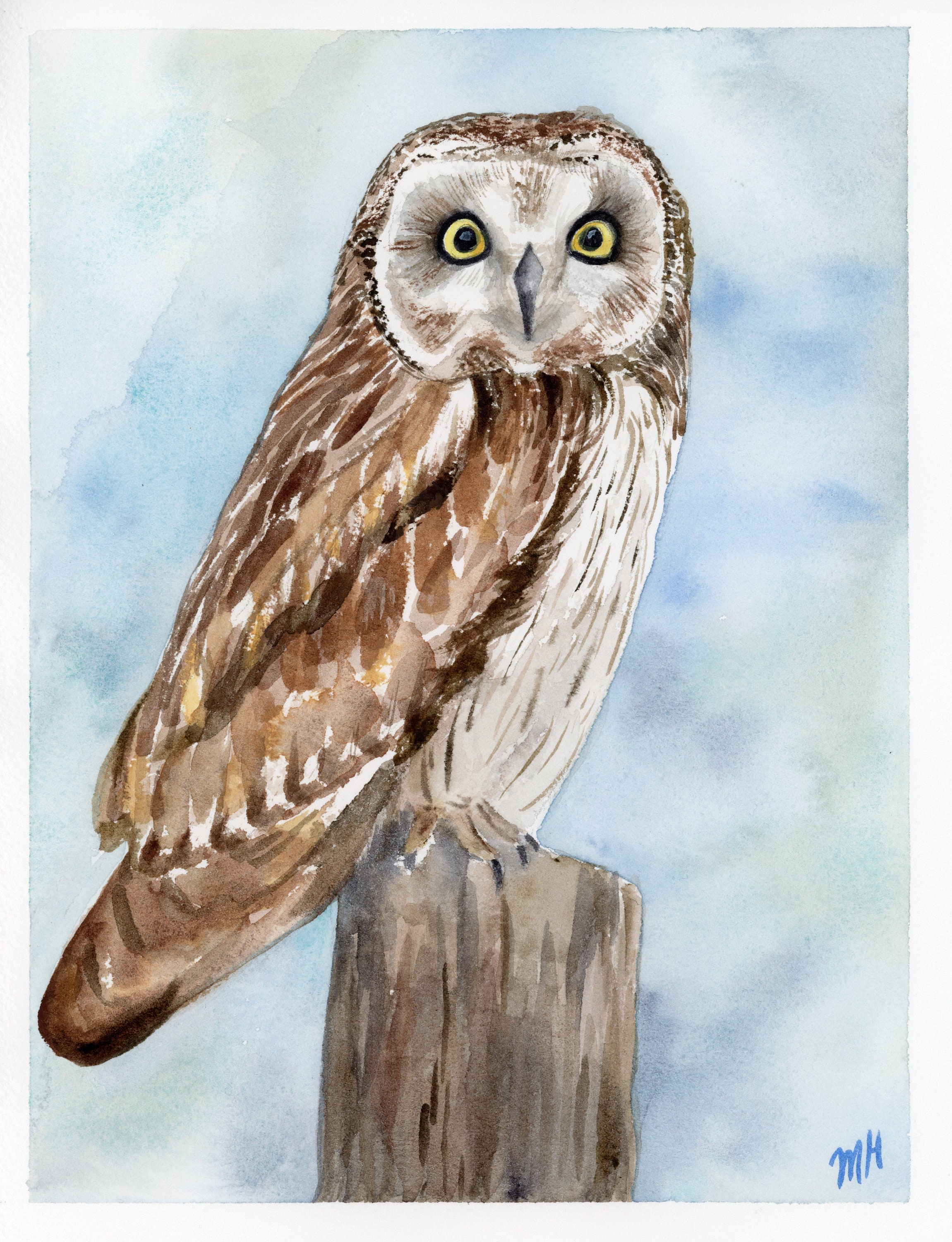Original Short-Eared Owl Watercolor, Little Brown Owl, Original Watercolor Painting 8"x10"