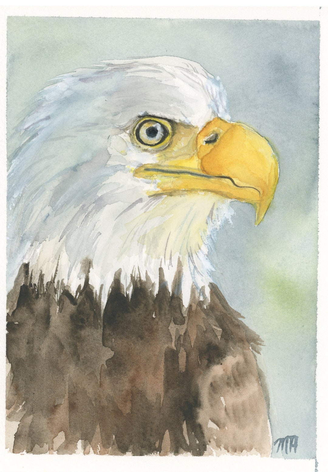 Bald Eagle Eagle Watercolor America Watercolor Original - Etsy