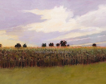 Cornfield landscape canvas print, fields, art, cornstalks, green, gold, lavender, country scene, farmland, rows of corn, farm, sunset, 8x10