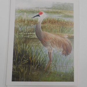 Sandhill Crane Set of 6 Notecards