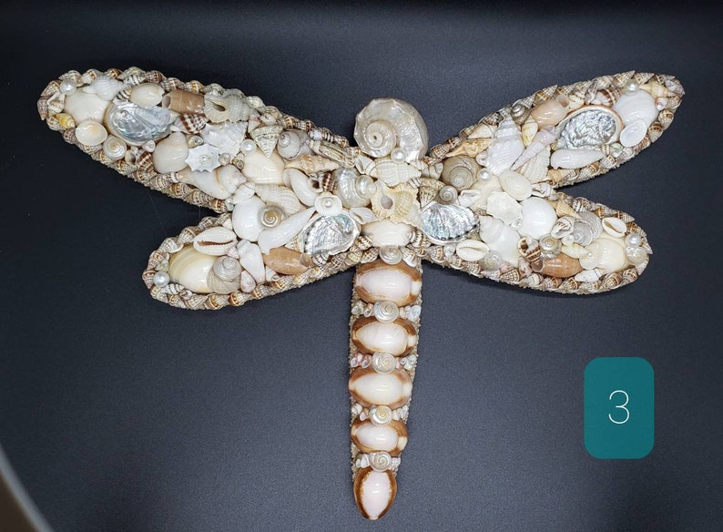 May include: A dragonfly-shaped wall art piece crafted from various seashells. The wings are detailed with an assortment of small, white, and tan shells, while the body features larger, polished shells. The artwork is set against a dark background.