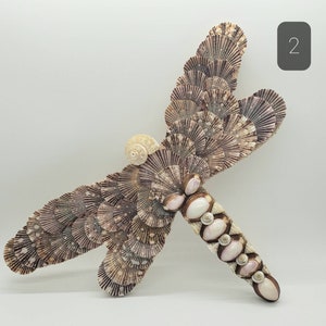 May include: A decorative dragonfly sculpture crafted from various seashells. The wings are made of fan-shaped shells in shades of brown and beige, while the body features a mix of white and pink shells. A small, spiral shell forms the head.