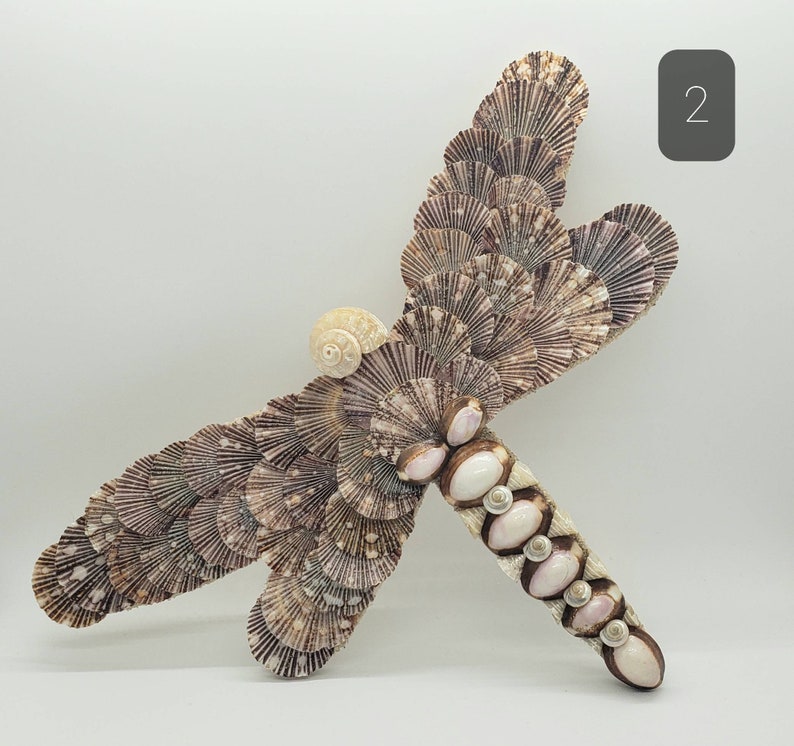 May include: A decorative dragonfly sculpture crafted from various seashells. The wings are made of fan-shaped shells in shades of brown and beige, while the body features a mix of white and pink shells. A small, spiral shell forms the head.