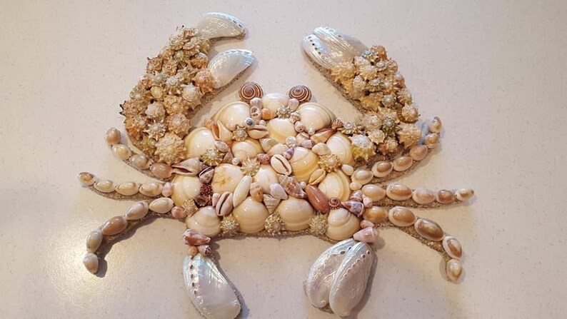 Seashell Crab  Coastal Decor  Beach Decor  Nautical Decor image 0