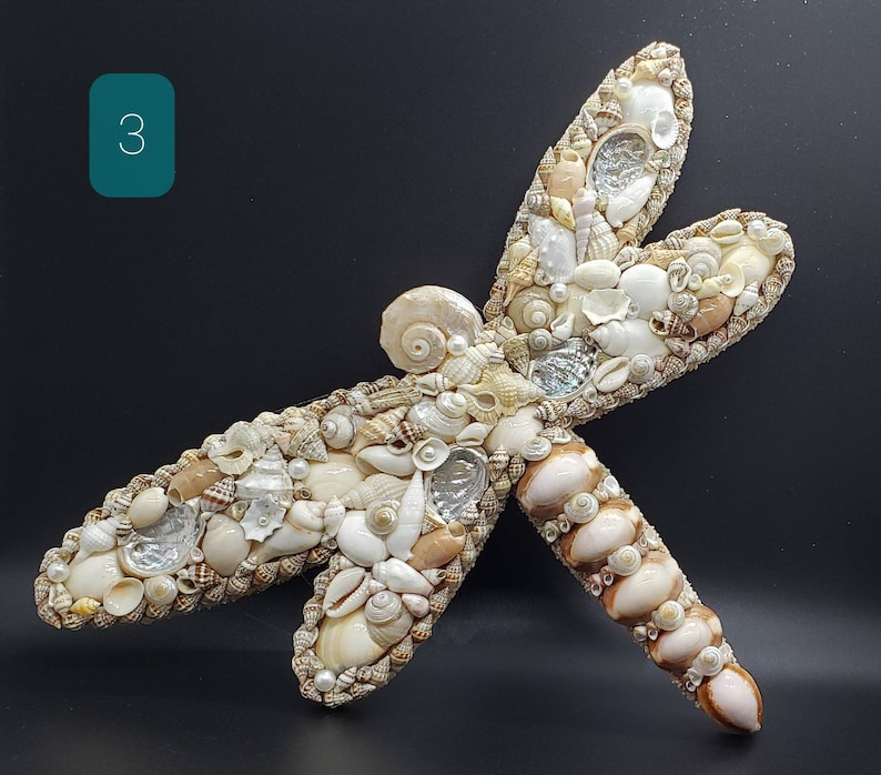 May include: A decorative dragonfly sculpture crafted from various seashells in shades of white, cream, and brown. The wings and body are meticulously arranged, creating a detailed and textured artwork. The number "3" is in a teal square in the upper left corner.