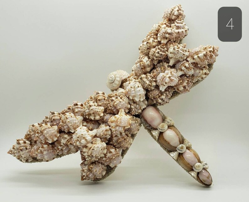 May include: A decorative dragonfly sculpture crafted from various seashells. The wings are composed of numerous small, textured shells in shades of cream and brown. The body features a mix of pink and brown shells, creating a unique coastal art piece.