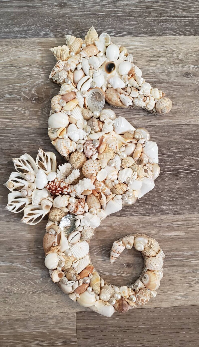 Seashell Seahorse Seahorse Wall Art Seahorse Shell Art Etsy