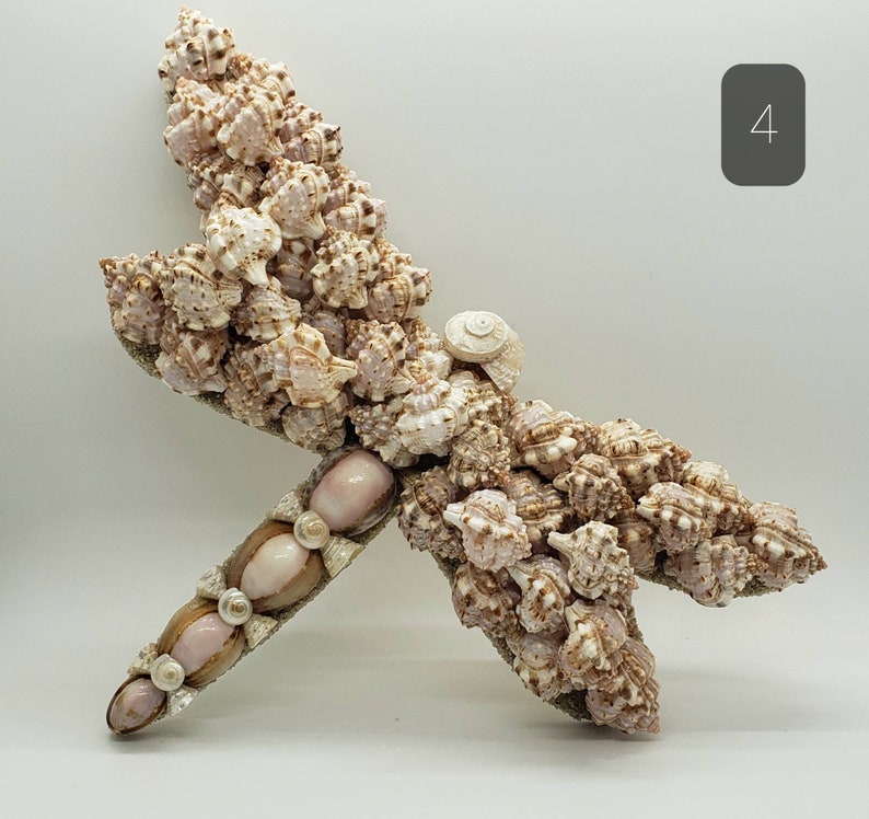 May include: A handcrafted dragonfly sculpture made from various seashells. The wings are detailed with numerous small, textured shells in shades of beige and brown. The body features larger, smooth shells and small, white accents. The number "4" is in the upper right corner.