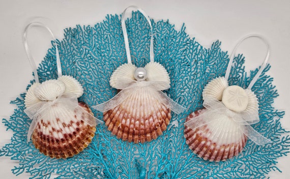 2Pcs Sea Shells for Decorating Shells Zodiac Decoration Sea Shell Ornaments  Shell Decoration (Random Style)