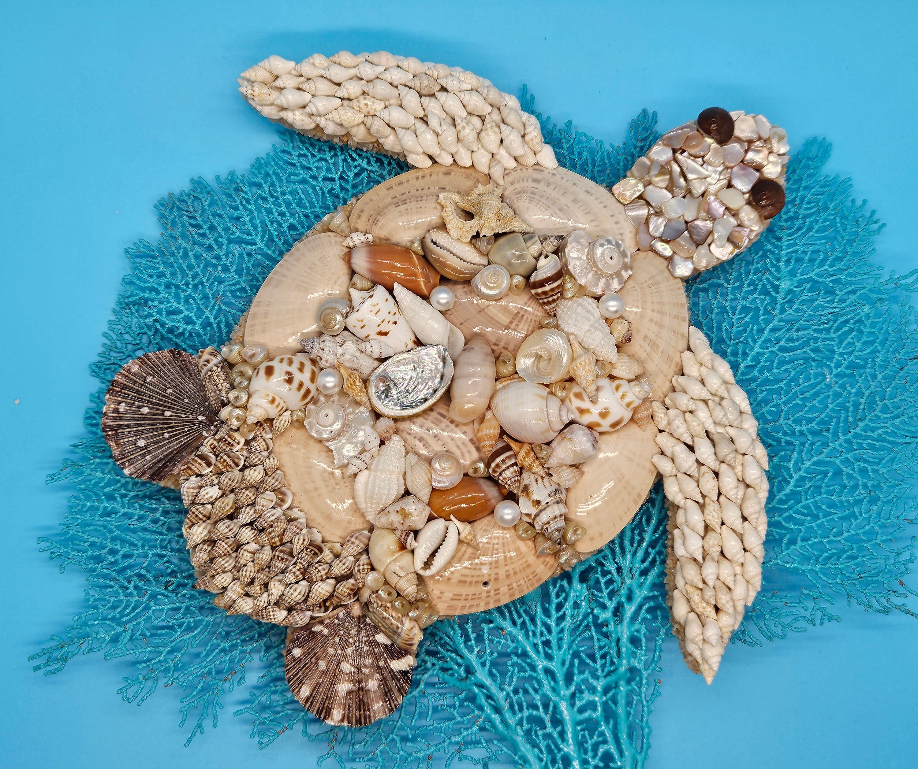 Décoration murale Tortue en coquillages 27x28 Boho inspired home