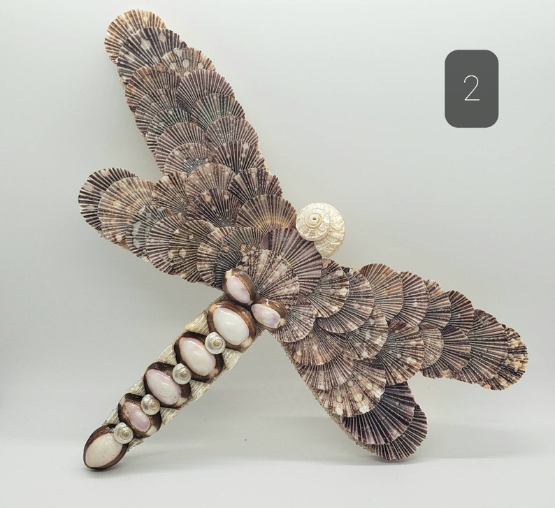 May include: A dragonfly sculpture crafted from various seashells. The wings are made of layered, fan-shaped shells in shades of brown and purple. The body features a mix of white and pink shells, with a small, spiral shell at the center.