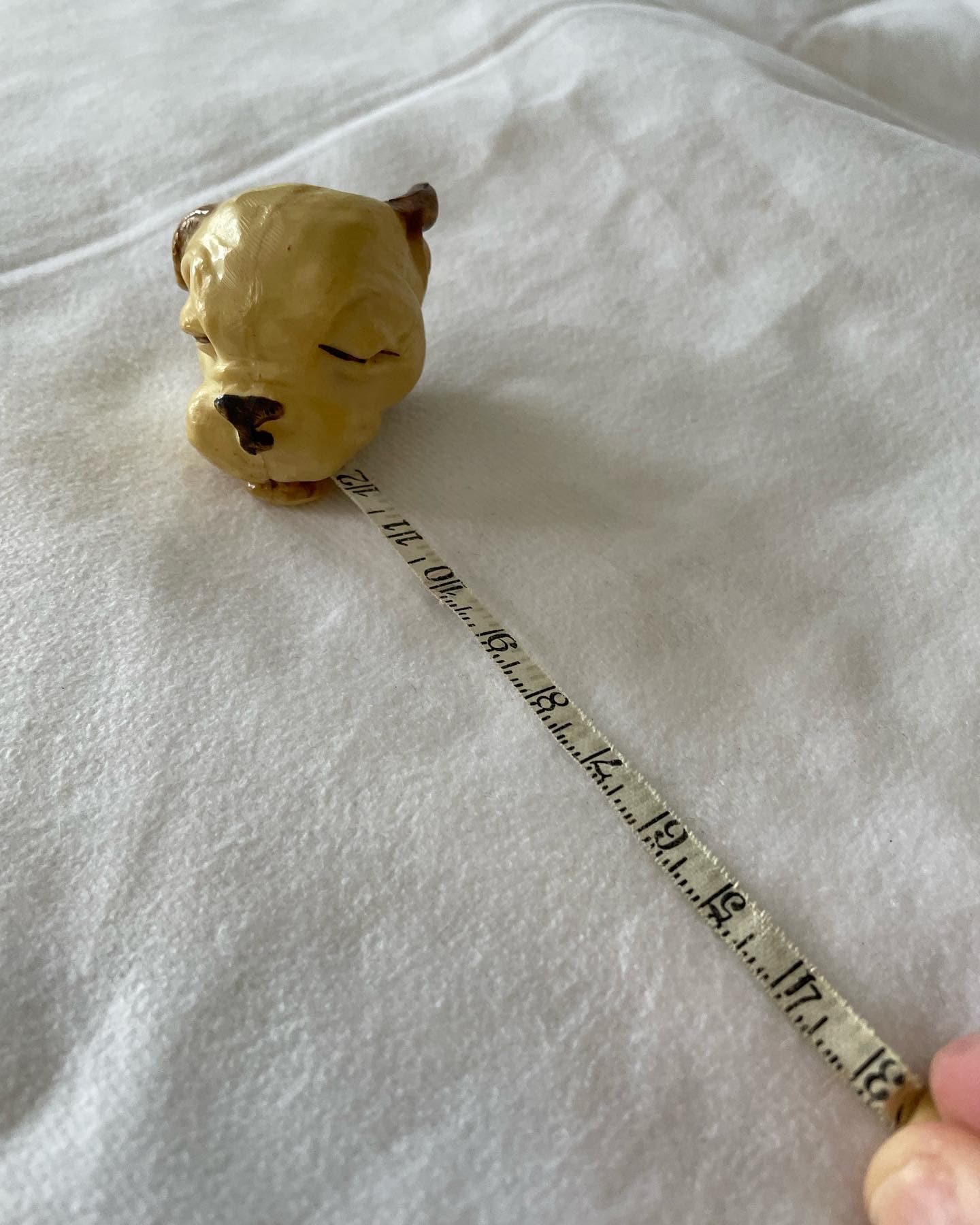 Antique Celluloid Dog Bonzo Head Tape Measure, Works Great - Etsy