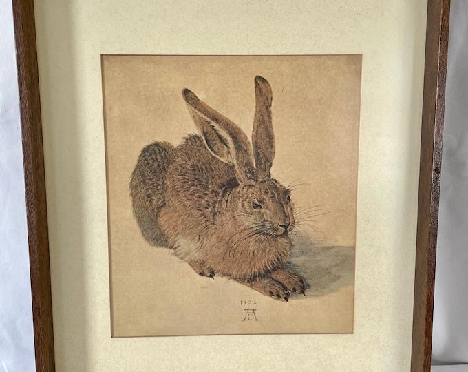 Albrecht Durer Rabbit Print, 1502 Rabbit, Framed - Etsy