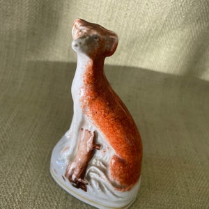 Staffordshire Whippet, Hunting Rabbit