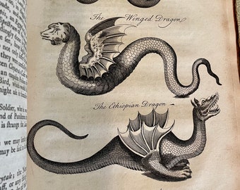 An Essay Towards a Natural History of Serpents, 1742 C. Owen, 1st Edition