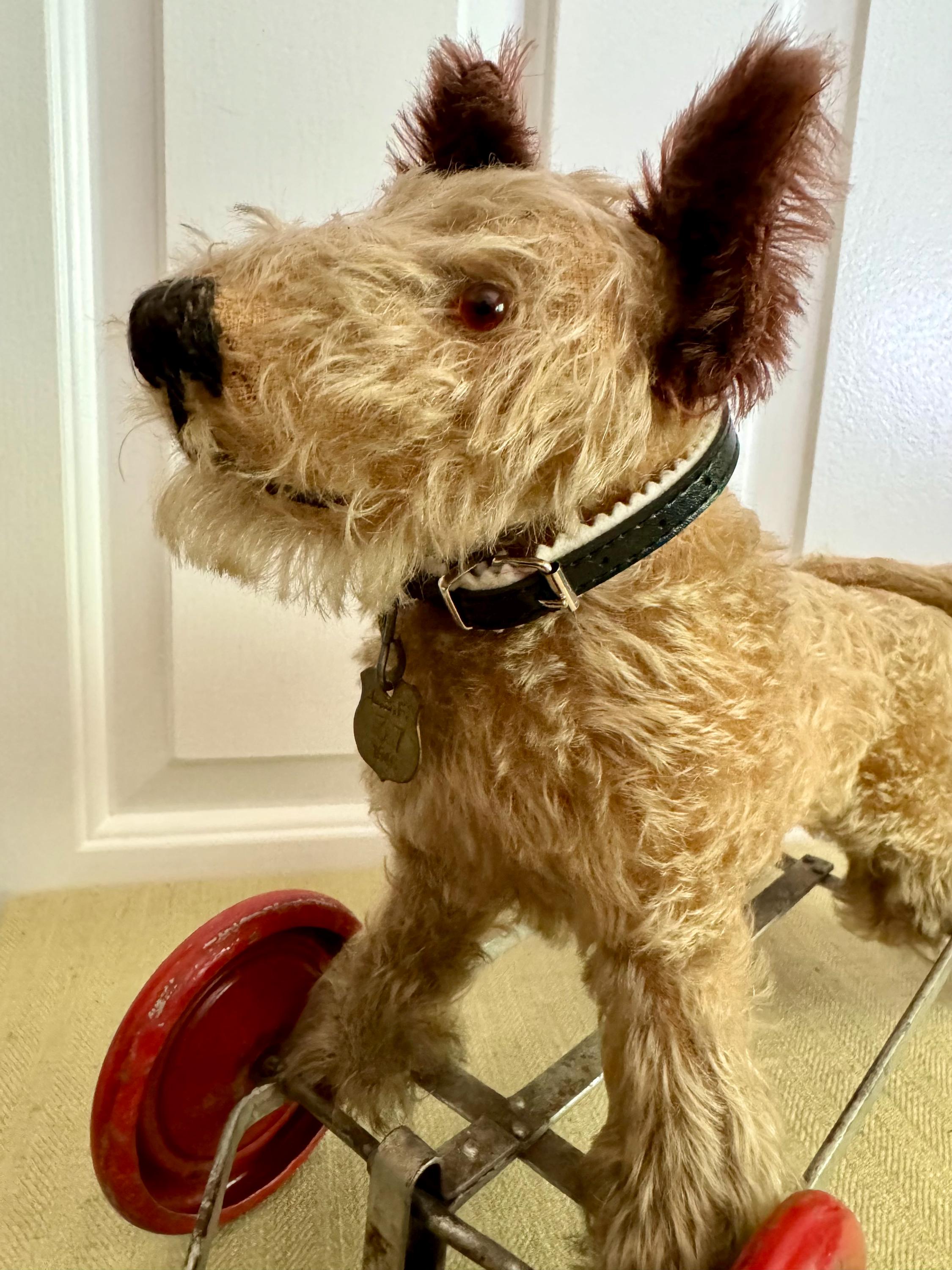 Antique Mohair Terrier Dog Pull Toy, Chiltern Toys - Etsy